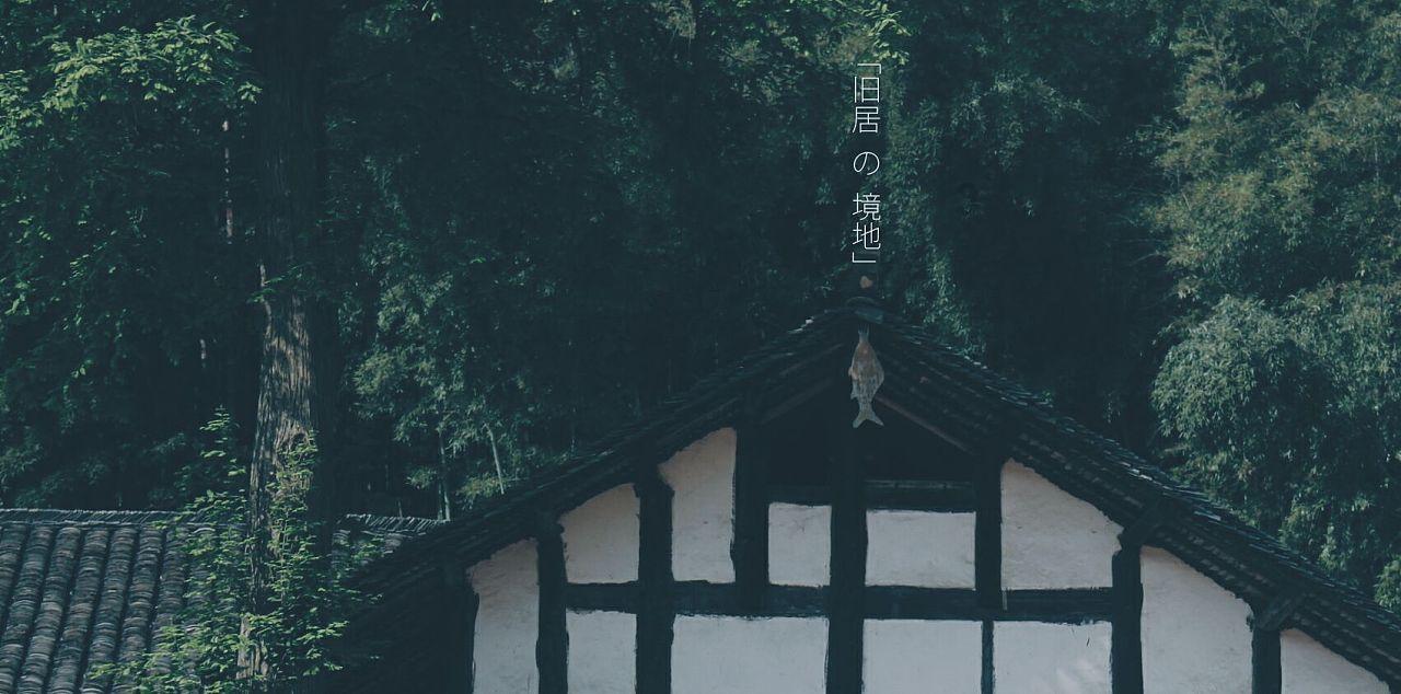 掘地求升